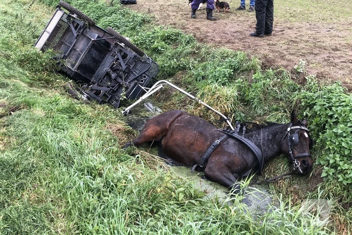 Paard en wagen valt in sloot