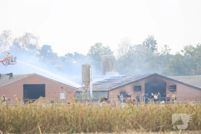 brand klein bruggen deurne