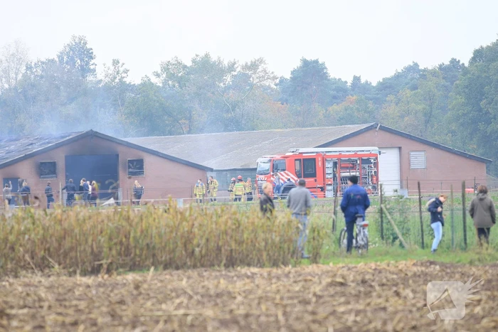 Felle uitslaande brand in stal met hooi
