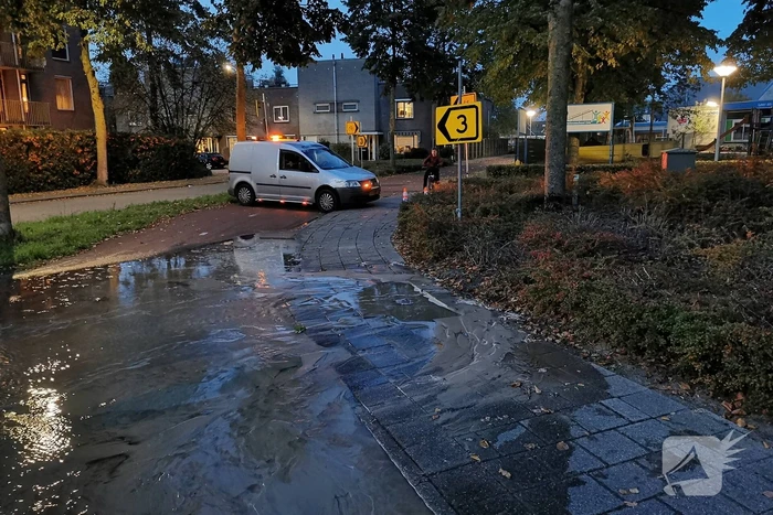 waterlekkage rembrandtlaan ede