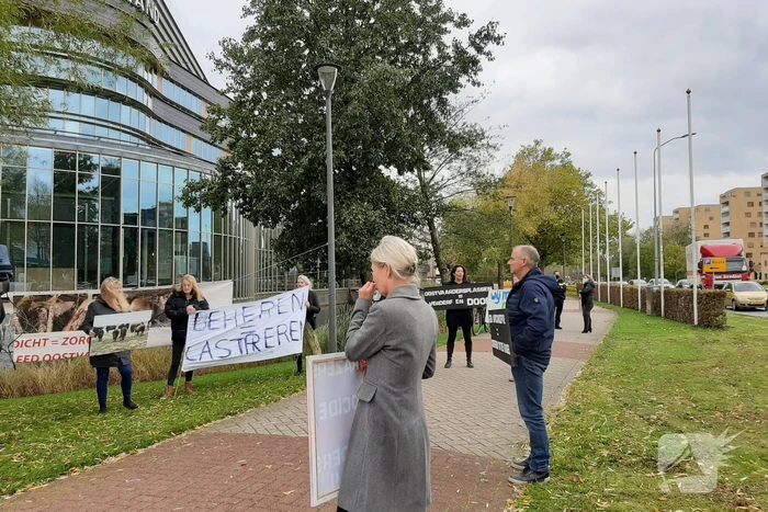 Demonstratie tegen slachten konikpaarden en heckrunderen Oostvaarderplassen