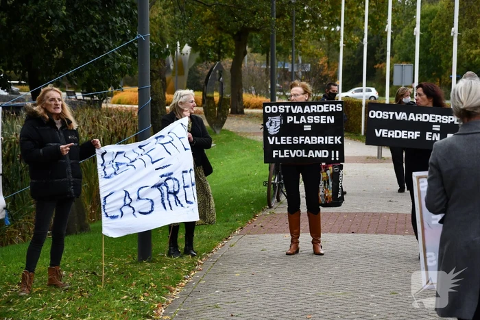 Demonstratie tegen slachten konikpaarden en heckrunderen Oostvaarderplassen