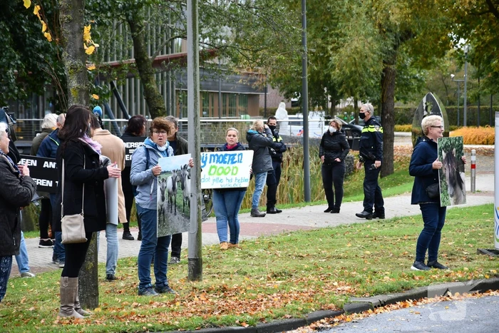 Demonstratie tegen slachten konikpaarden en heckrunderen Oostvaarderplassen