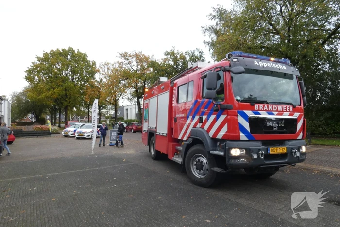 Ravage nadat auto winkel binnen rijdt