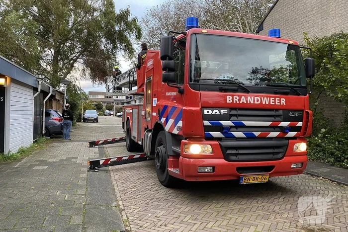 Gevaarlijke hangende tak zorgt voor onveilige situatie.