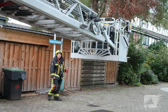 Gevaarlijke hangende tak zorgt voor onveilige situatie.