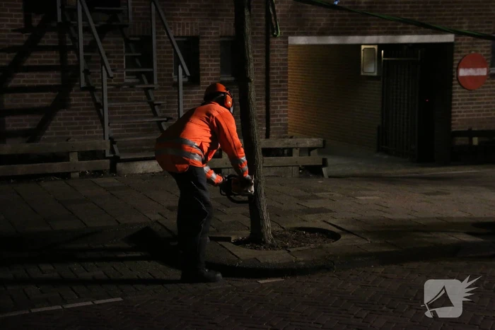 Boom dreigt op woningen te vallen