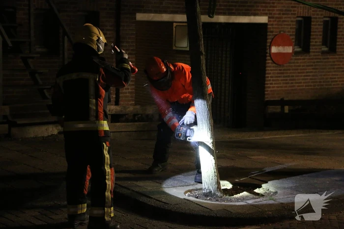 Boom dreigt op woningen te vallen