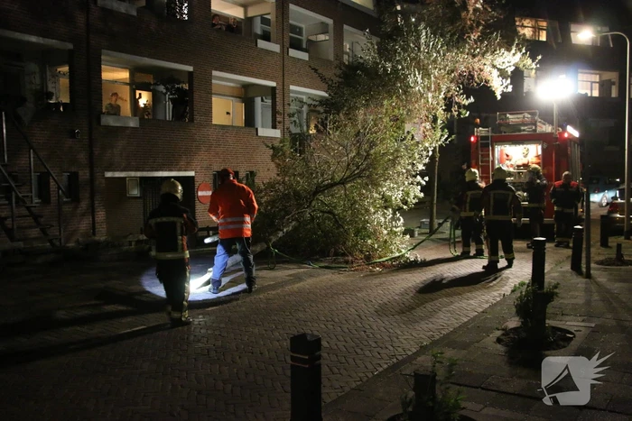 Boom dreigt op woningen te vallen