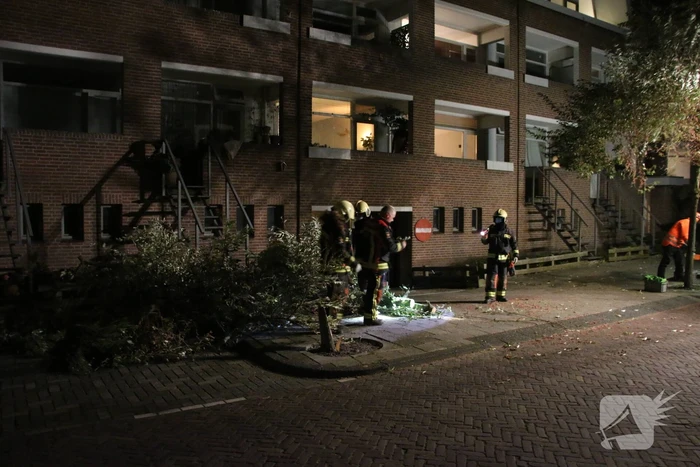 Boom dreigt op woningen te vallen