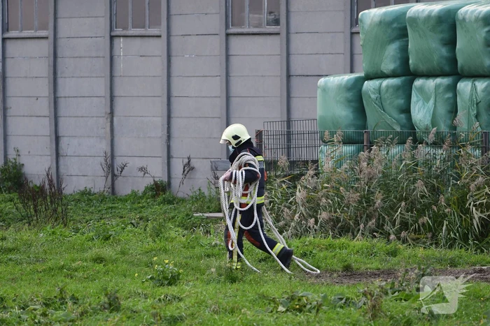 Brandweer haalt paard uit sloot