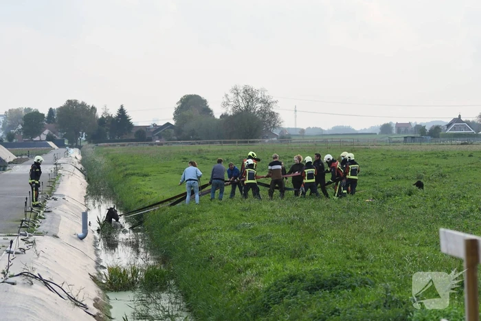 Brandweer haalt paard uit sloot