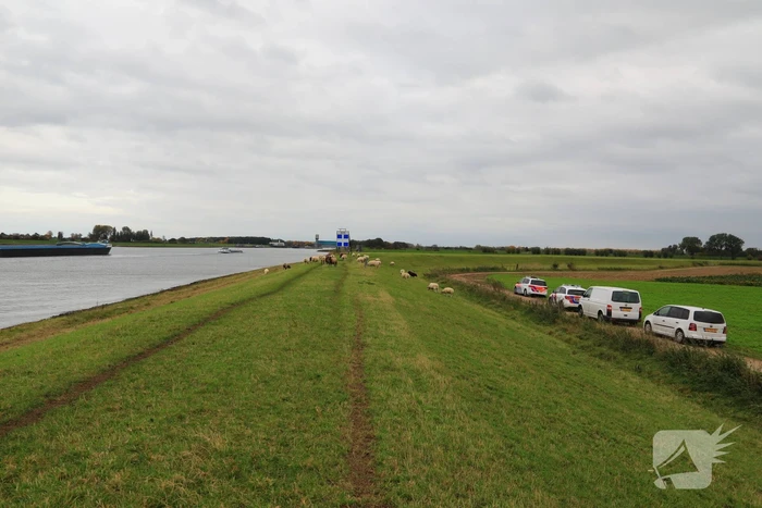 Stoffelijk overschot gevonden in Lek