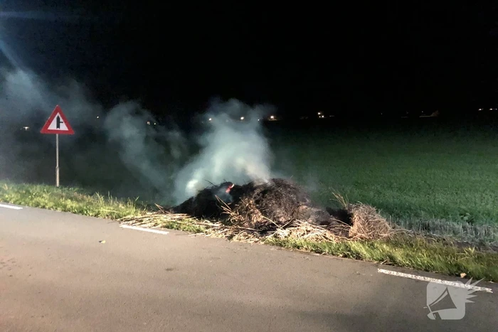 Bult gras in brand gevlogen