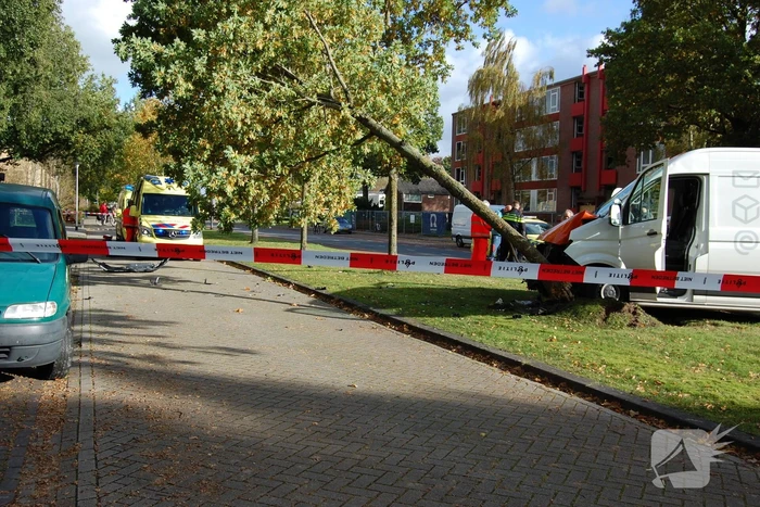 Bestelbus Postnl belandt met hoge snelheid tegen boom