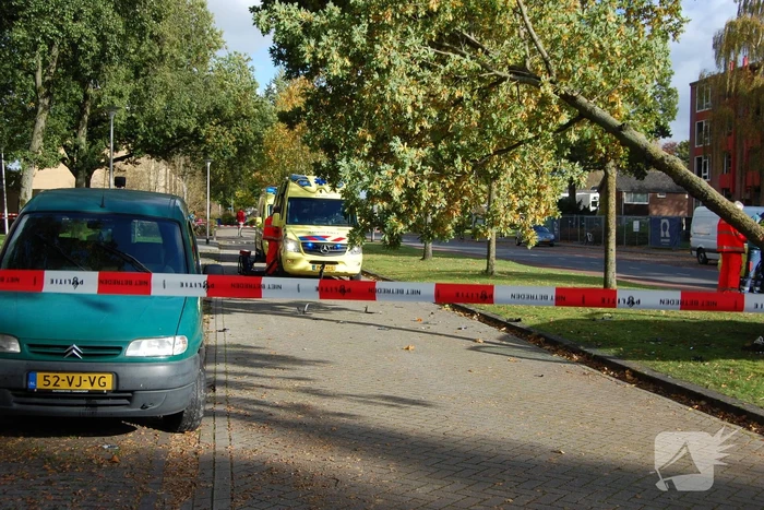 Bestelbus Postnl belandt met hoge snelheid tegen boom