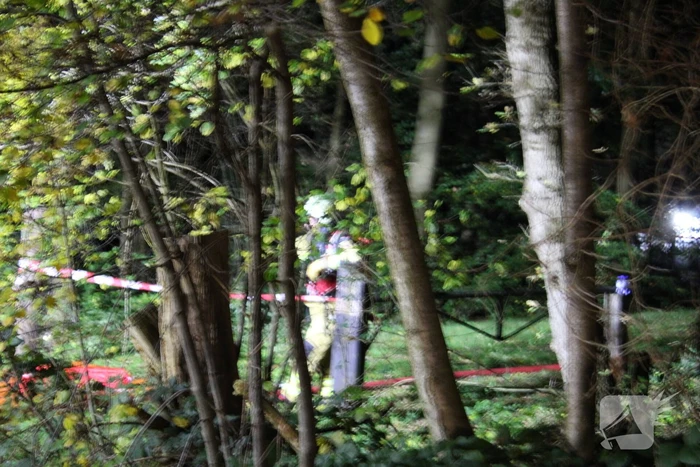 Brand in schuur in bos
