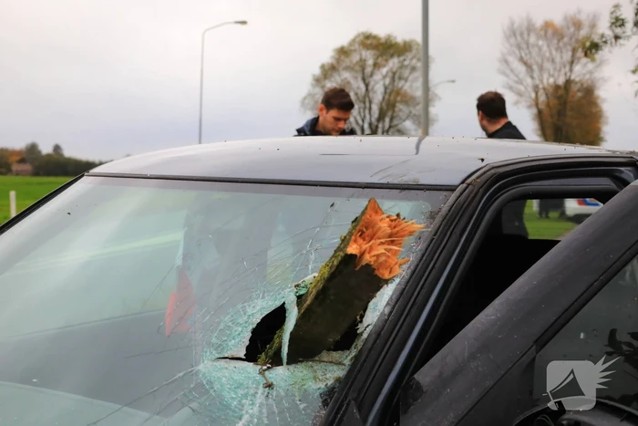 Stuk hout schiet door voorruit auto bij eenzijdig ongeval