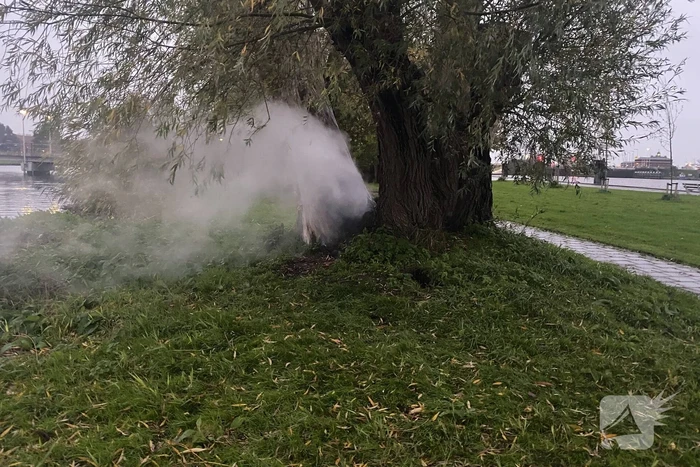 Brandweer blust brand in boom met emmer