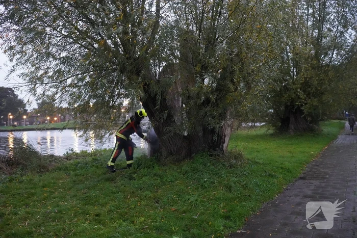 Brandweer blust brand in boom met emmer