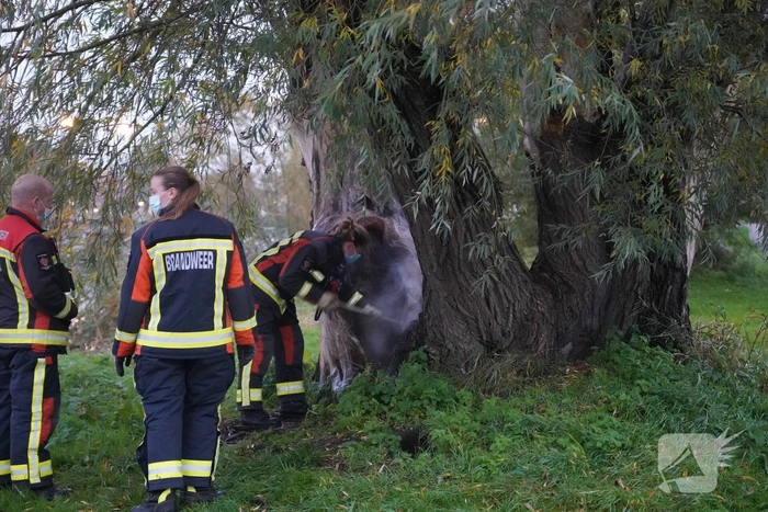 Brandweer blust brand in boom met emmer