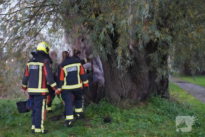 Brandweer blust brand in boom met emmer