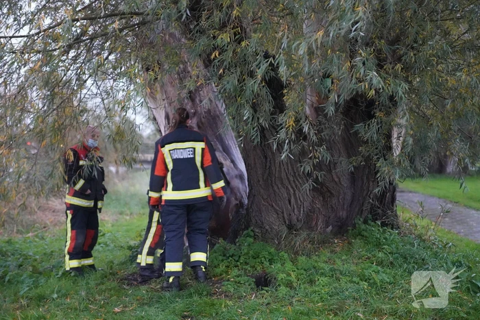 Brandweer blust brand in boom met emmer