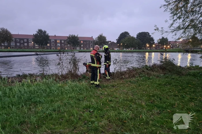 Brandweer blust brand in boom met emmer