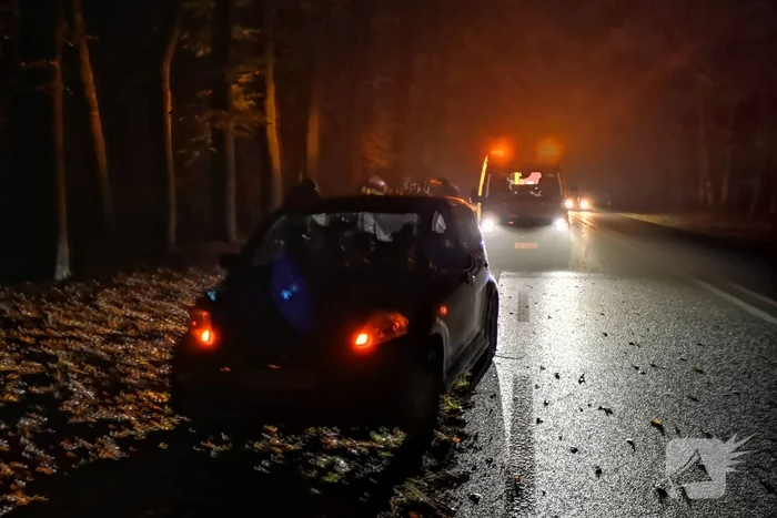 Persoon gewond na aanrijding met wild zwijn