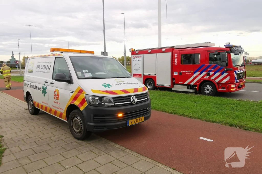 Bonnetstraat Nieuws Ede 