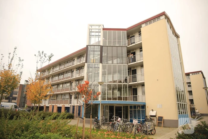 Waterlekkage in Cv Ketel