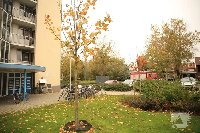 Waterlekkage in Cv Ketel
