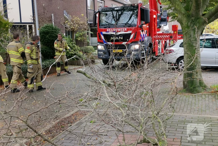 Brandweer verwijdert loshangende takken