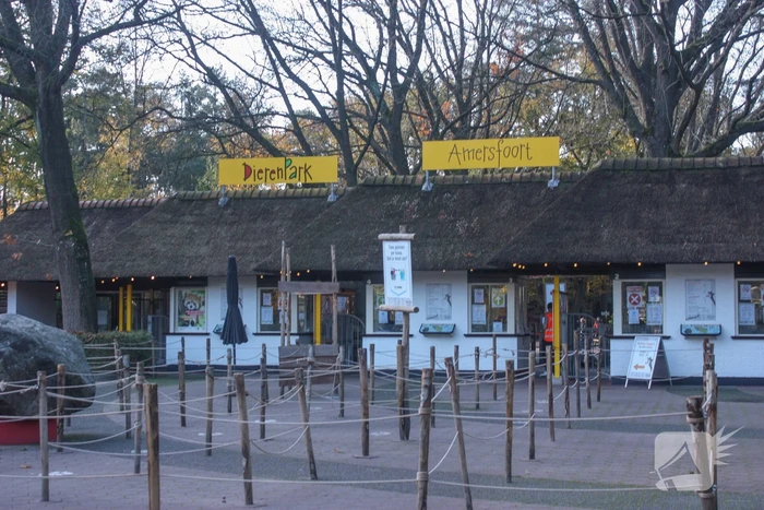 DierenPark Amersfoort ontruimd na gevaarlijke ontsnapping