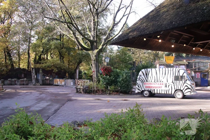 DierenPark Amersfoort ontruimd na gevaarlijke ontsnapping