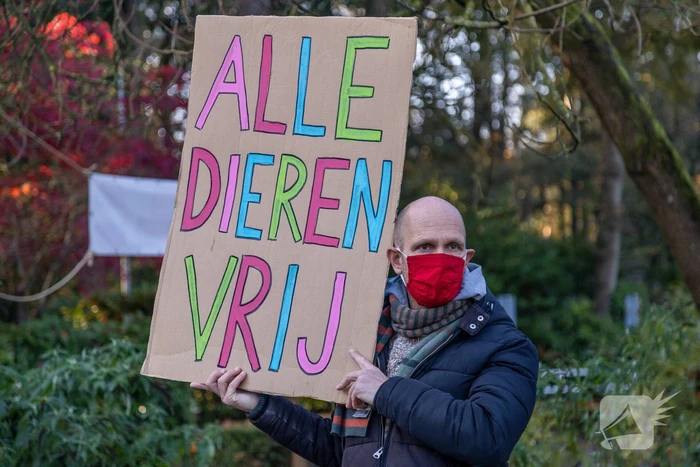 Protestactie tegen doodgeschoten chimpansees DierenPark Amersfoort