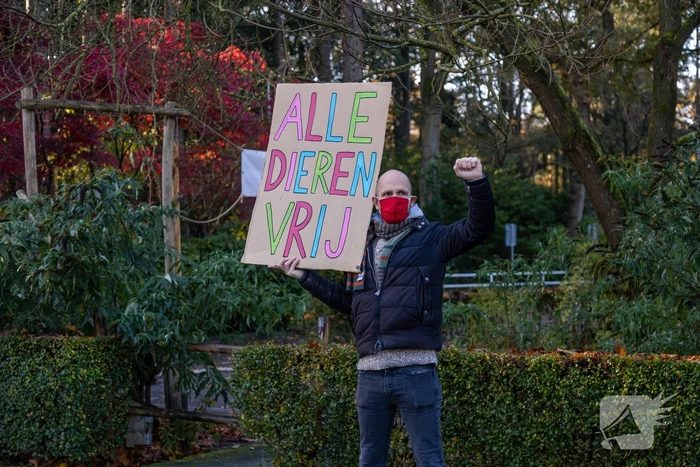 Protestactie tegen doodgeschoten chimpansees DierenPark Amersfoort