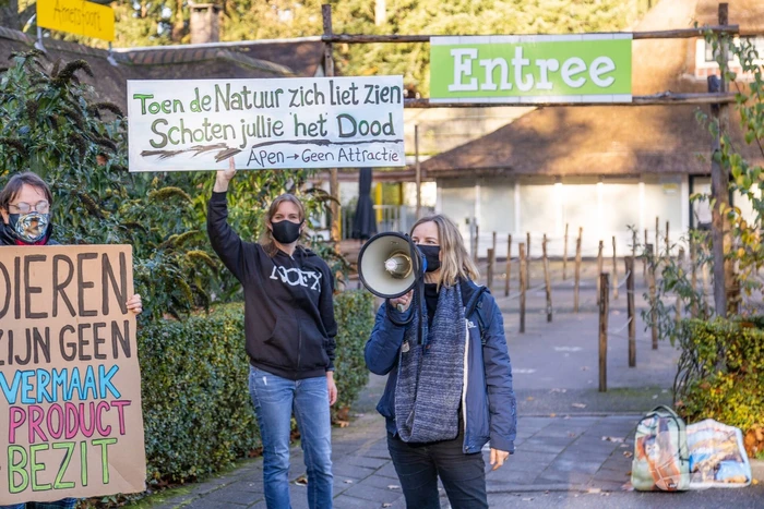 Protestactie tegen doodgeschoten chimpansees DierenPark Amersfoort