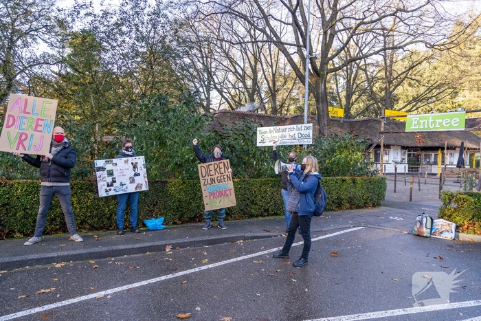 Protestactie tegen doodgeschoten chimpansees DierenPark Amersfoort