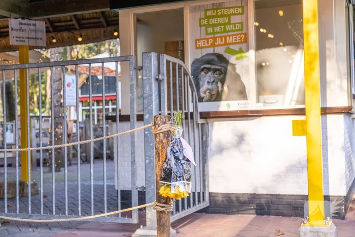 Protestactie tegen doodgeschoten chimpansees DierenPark Amersfoort
