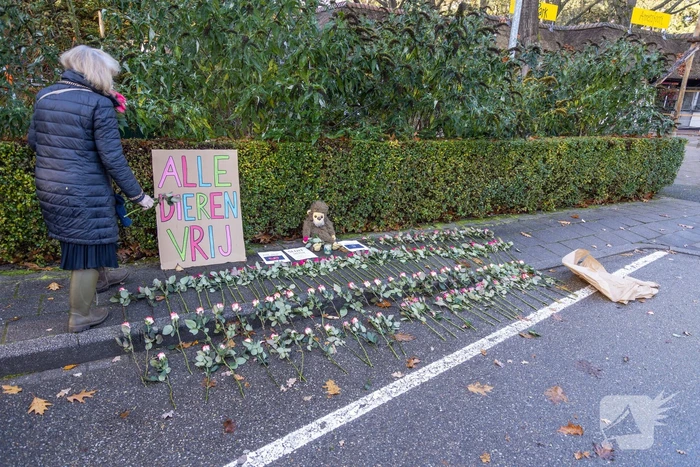 Protestactie tegen doodgeschoten chimpansees DierenPark Amersfoort
