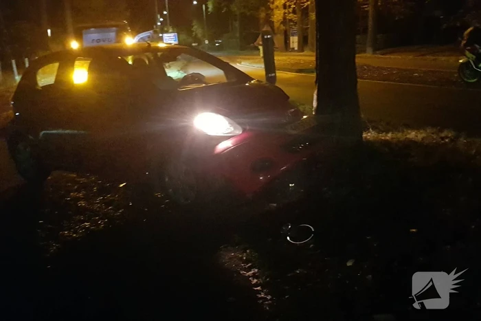 Auto klapt op boom