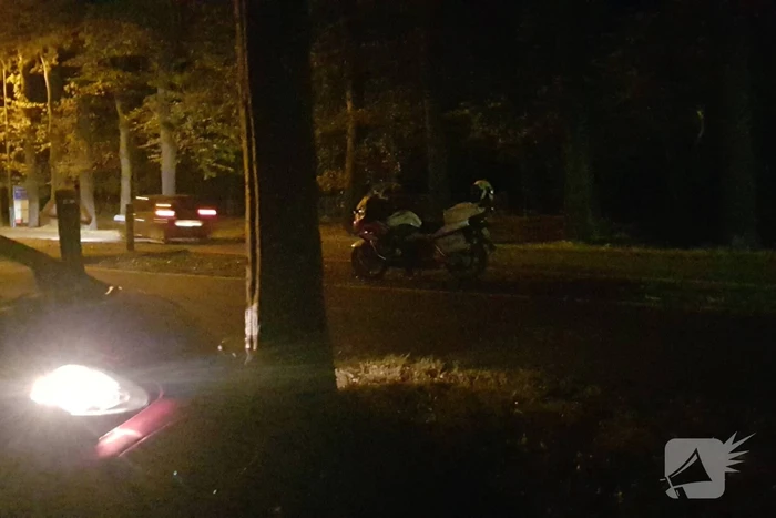Auto klapt op boom