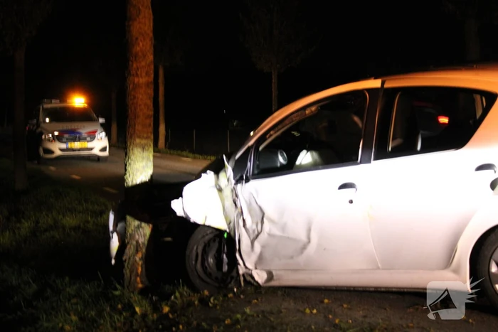 Auto rijdt tegen lantaarnpaal en komt tot stilstand tegen boom