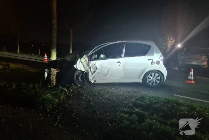 Auto rijdt tegen lantaarnpaal en komt tot stilstand tegen boom