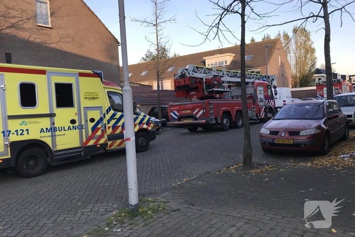 Grote zoekactie na vermissing van jongentje