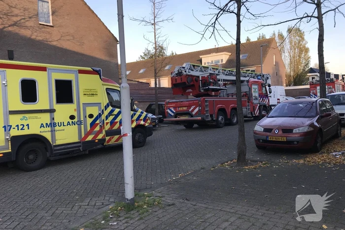 Grote zoekactie na vermissing van jongentje