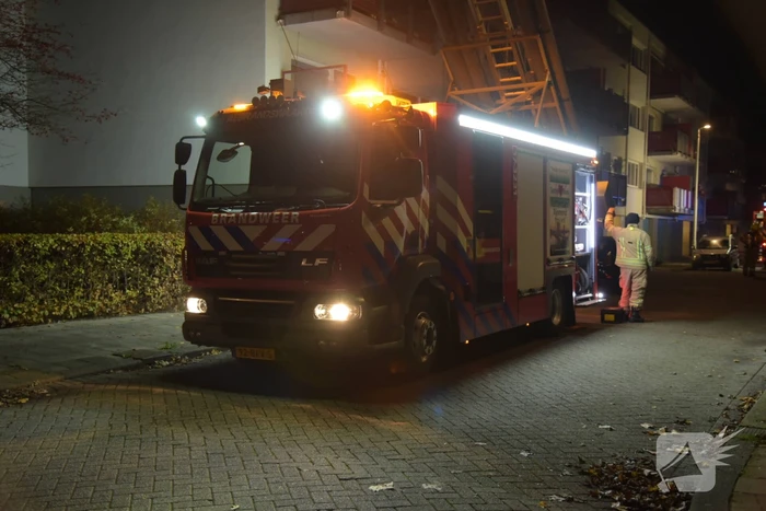 brand boomkor hoogvliet rotterdam