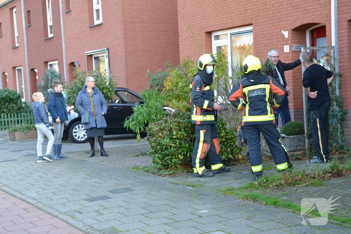 nieuws esdoornlaan waddinxveen