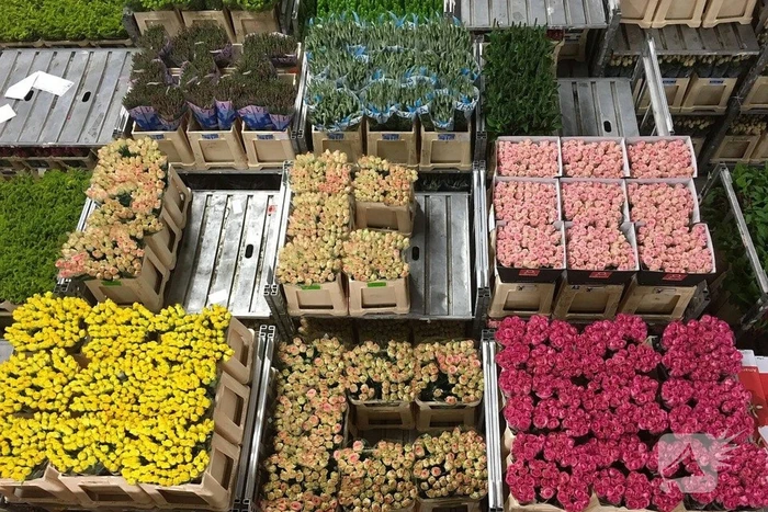 Boete van 30 000 euro voor bloemengroothandel